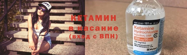 гидра Арсеньев