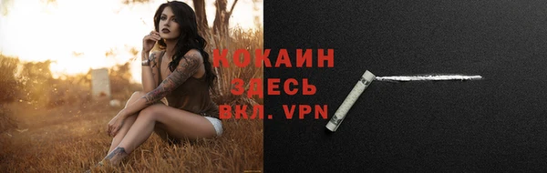мяу мяу мука Аркадак