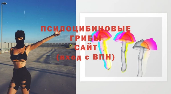 мяу мяу мука Аркадак
