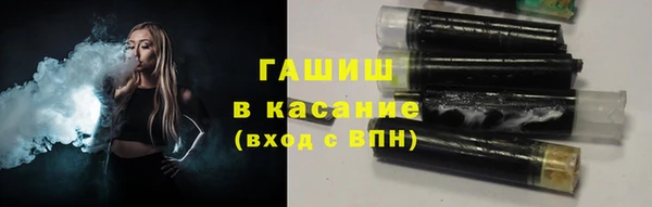гидра Арсеньев