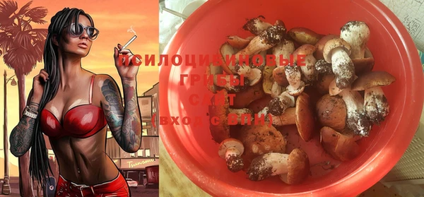 гидра Арсеньев