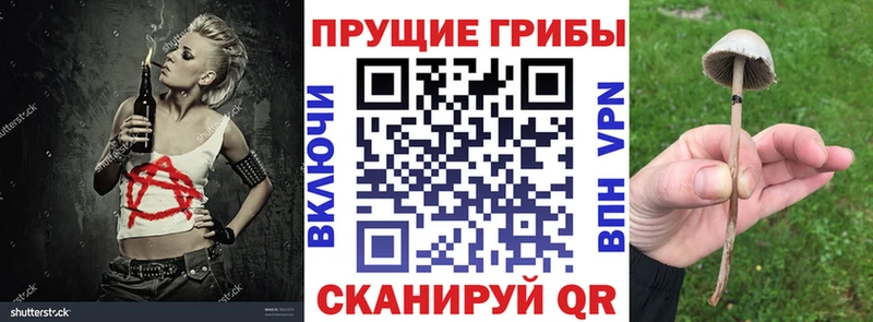 Псилоцибиновые грибы Magic Shrooms  наркота  kraken маркетплейс  Сортавала 
